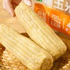 有机糯玉米|非转基因、通过750项无农残，清甜！香糯！细嫩！ 商品缩略图1