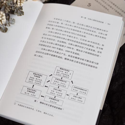 万千心理·自体心理学入门（徐钧老师力作全新修订！） 商品图7