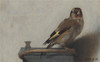 Birds: The Goldfinch  Birds  Art  and Us / 鸟：金翅雀、鸟、艺术与我们 商品缩略图2