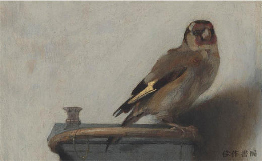 Birds: The Goldfinch  Birds  Art  and Us / 鸟：金翅雀、鸟、艺术与我们 商品图2