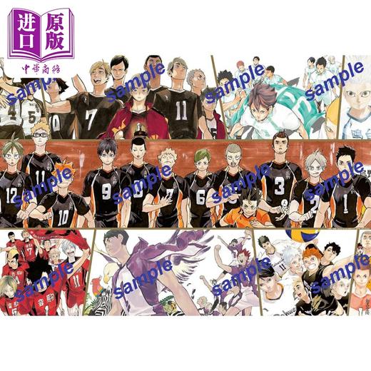 【中商原版】Sportiva 日本男排代表特集号 Vol.4 高桥蓝 附排球少年豪华特典 ハイキュー 日文原版日韩 Sportivaバレーボール特集号 商品图1