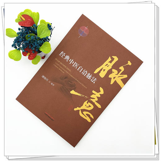 脉意:经典中医自洽脉法 潘晓川 编著 中国中医药出版社 中华脉诊 中医入门 临床 黄帝内经 书籍 商品图2