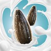 洽洽108g海盐奶盖瓜子 商品缩略图4