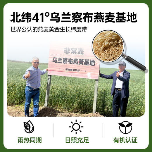 非常麦有机燕麦奶核桃乳羽衣甘蓝奇亚籽组合 商品图1