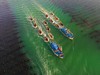7.6/7.20/8.3/8.17【海防少年·7天6晚青岛＋威海双城逐浪夏令营】走进中国海洋大学校园；探访海军博物馆、刘公岛甲午遗址；乘船出海探访海洋牧场；海岸线骑行、巨轮打卡、海上嘉年华 商品缩略图12