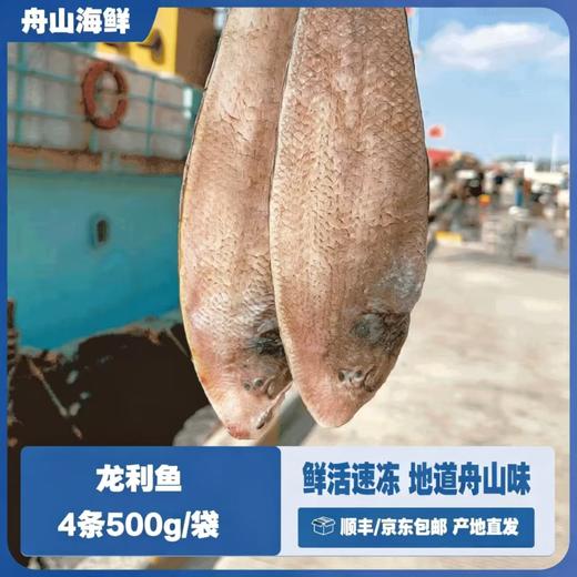 海鼎纪 龙利鱼 低脂高蛋白 老少皆宜 500g*3袋 商品图2
