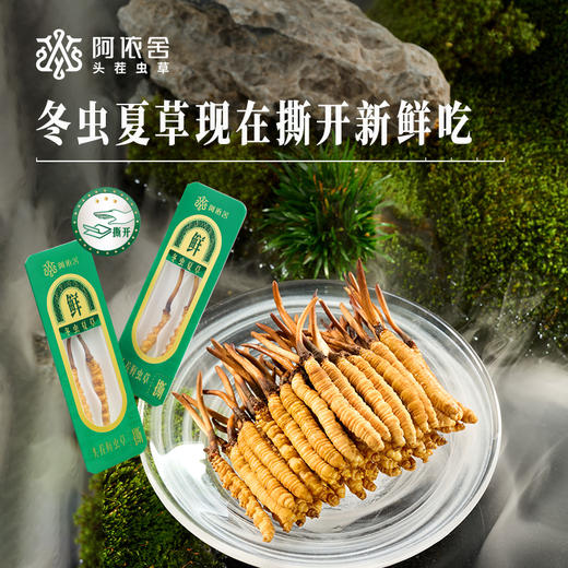 现在下单加送1根【2026年鲜草现货】阿依舍头茬新鲜冬虫夏草礼盒 商品图1