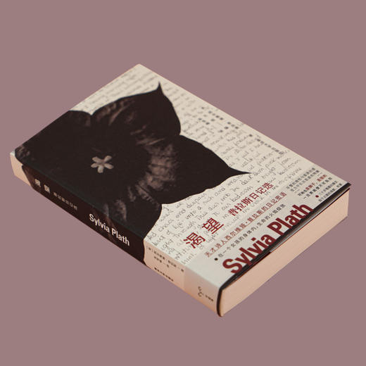 渴望：普拉斯日记选 [美]西尔维娅·普拉斯 久枝 编 朱雪峰 译 商品图3