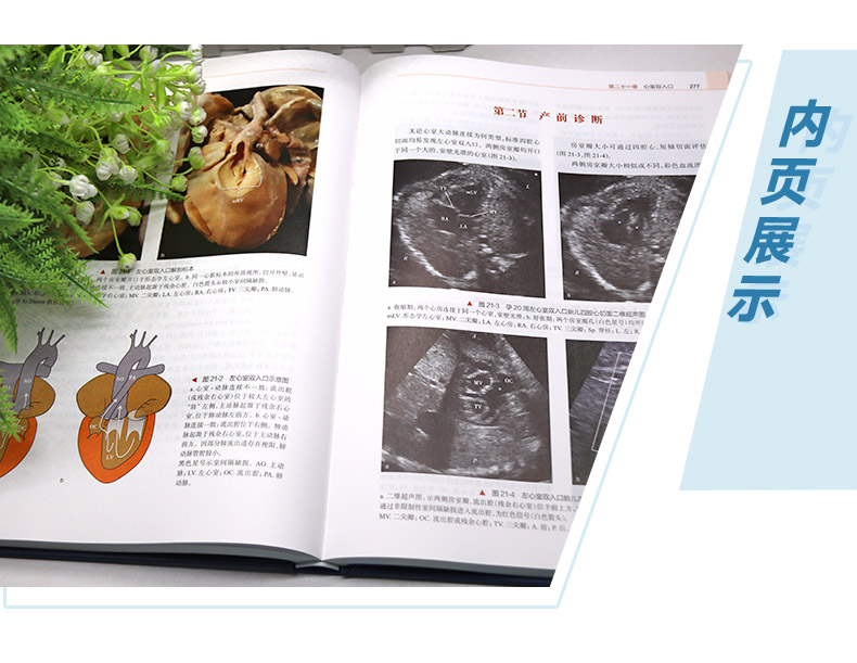 西医4_05.jpg