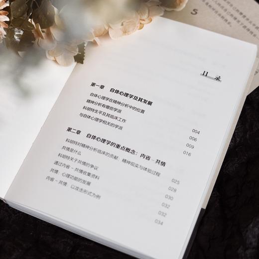 万千心理·自体心理学入门（徐钧老师力作全新修订！） 商品图8