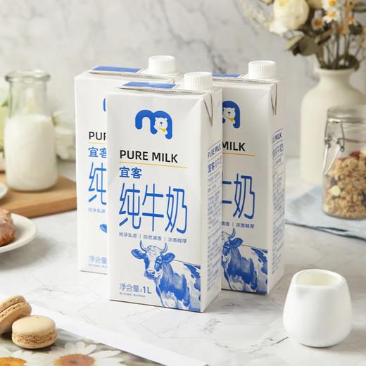 麦德龙 宜客 纯牛奶 1L*6/12 商品图3