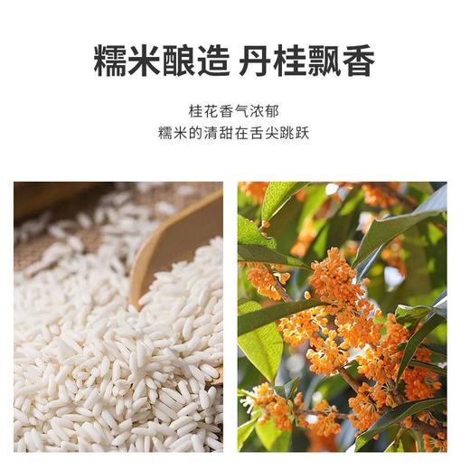 【2瓶全国包邮，部分地区除外】水缘贡桂花黄酒 500ml/瓶 商品图1