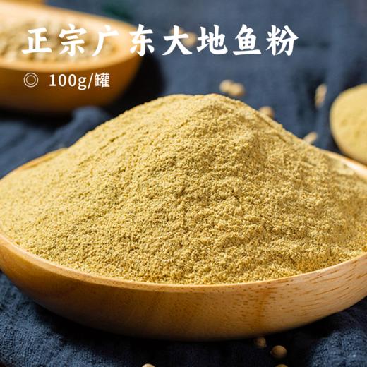 正宗广东大地鱼粉 | 甄选特级深海比目鱼 鲜活晒制 研磨成粉 一料多用百搭调味 还原地道广东风味 商品图0