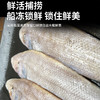 海鼎纪 龙利鱼 低脂高蛋白 老少皆宜 500g*3袋 商品缩略图5