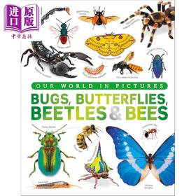 【中商原版】DK图片世界 昆虫 蝴蝶 甲虫和蜜蜂 DK Our World in Pictures Bugs Butterflies Beetles and Bees 英文原版 科普