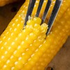 有机糯玉米|非转基因、通过750项无农残，清甜！香糯！细嫩！ 商品缩略图2