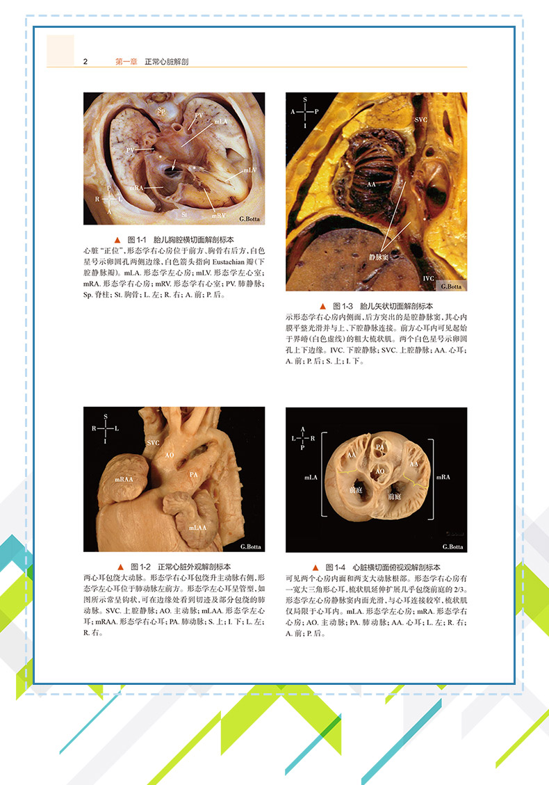 西医4_09.jpg