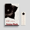 渴望：普拉斯日记选 [美]西尔维娅·普拉斯 久枝 编 朱雪峰 译 商品缩略图1
