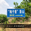 5月15日中午12点【梅子箐】2020年春茶‘ 喝了梅子箐忘了冰岛甜 ’ 云南临沧普洱茶生茶 357克/饼 一提5饼共1785克 商品缩略图6
