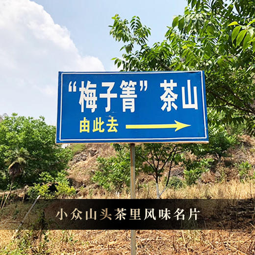 5月15日中午12点【梅子箐】2020年春茶‘ 喝了梅子箐忘了冰岛甜 ’ 云南临沧普洱茶生茶 357克/饼 一提5饼共1785克 商品图6