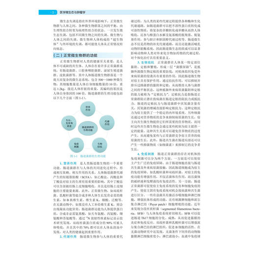 医学微生态与肿瘤学 郭智 王强 主编 供临床、预防、基础、检验等专业使用 基础医学 病原生物学 9787030798466 科学出版社 商品图4