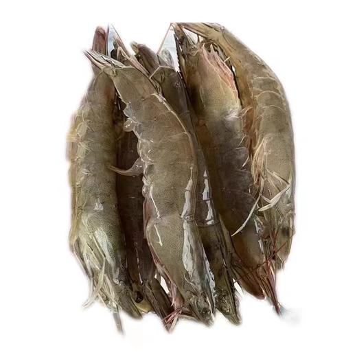 【MLT】大明虾 商品图0