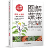 图解蔬菜病虫害诊断与防治 商品缩略图0