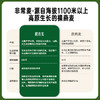 非常麦有机燕麦奶核桃乳羽衣甘蓝奇亚籽组合 商品缩略图3