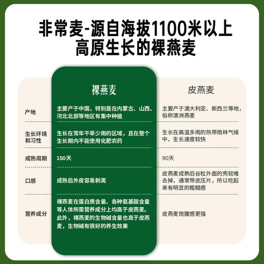 非常麦有机燕麦奶核桃乳羽衣甘蓝奇亚籽组合 商品图3