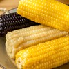 有机糯玉米|非转基因、通过750项无农残，清甜！香糯！细嫩！ 商品缩略图7