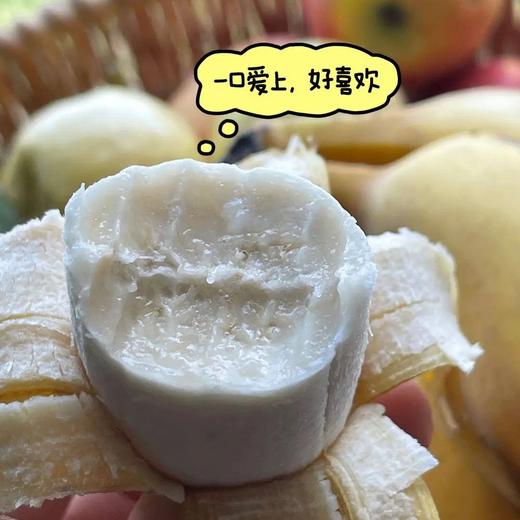 【苹果蕉】苹果蕉外形短胖，表皮薄而滑，乳白色的果肉散发淡淡的苹果香，口感更是软糯绵密呆萌可爱，一口爱上 不仅是甜，还有鲜，很喜欢 自然熟，放心吃的好香蕉 商品图5