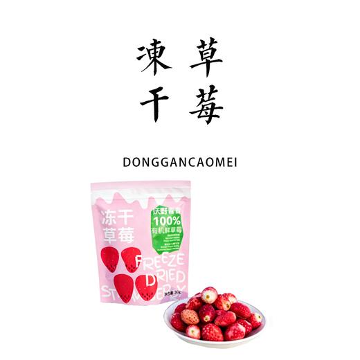 生态冻干草莓 30g 商品图0