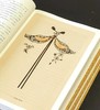 《中国古代首饰史》一函三册 商品缩略图5