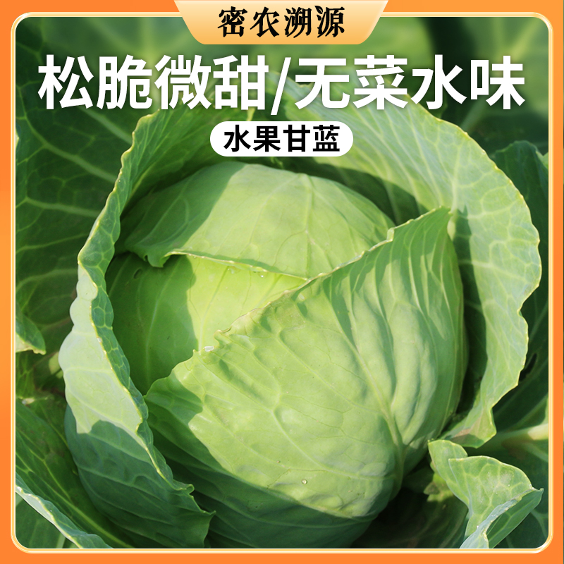 密云现砍水果甘蓝 650g    脆嫩微甜 新鲜绿甘蓝  可以凉拌生吃的圆白菜