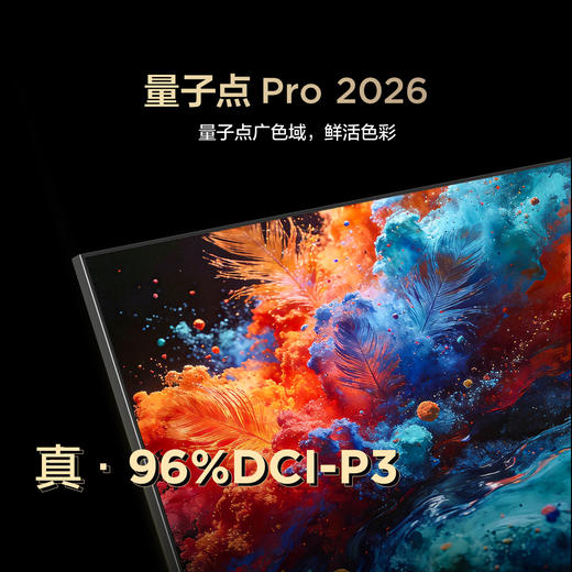 【FFALCON雷鸟】65鹤6 Plus 26款 65英寸 高阶VA屏 QD-MiniLED 242个万象分区 360Hz高刷 平板电视65R69A Plus 商品图2
