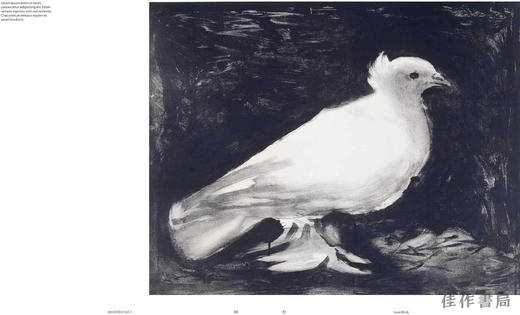 Birds: The Goldfinch  Birds  Art  and Us / 鸟：金翅雀、鸟、艺术与我们 商品图4