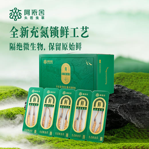 现在下单加送1根【2026年鲜草现货】阿依舍头茬新鲜冬虫夏草礼盒 商品图5