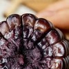 有机糯玉米|非转基因、通过750项无农残，清甜！香糯！细嫩！ 商品缩略图6