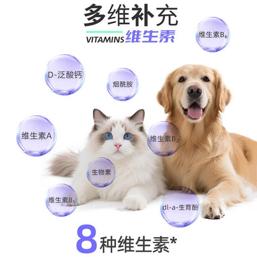 新宠之康电宇欣电解质葡萄糖粉40g猫咪狗狗通用营养补充电解质粉 商品图2