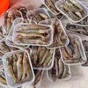 【MLT】大明虾 商品缩略图0
