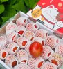 “佳垦炎梦番茄”色泽晶莹，一口咬下去甘甜汁水在口内爆浆，香甜的滋味完全就是小时候菜园里面的味道这么神仙好吃的番茄你一定要尝尝~ 商品缩略图0
