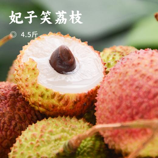 妃子笑荔枝 | 海南新鲜现摘荔枝 清甜 白润如玉 晶莹剔透 皮薄肉厚核小 颗颗饱满 顺丰新鲜直达 商品图0