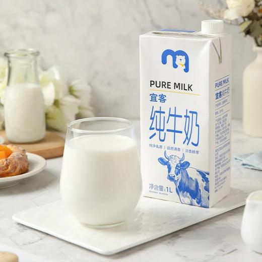麦德龙 宜客 纯牛奶 1L*6/12 商品图1