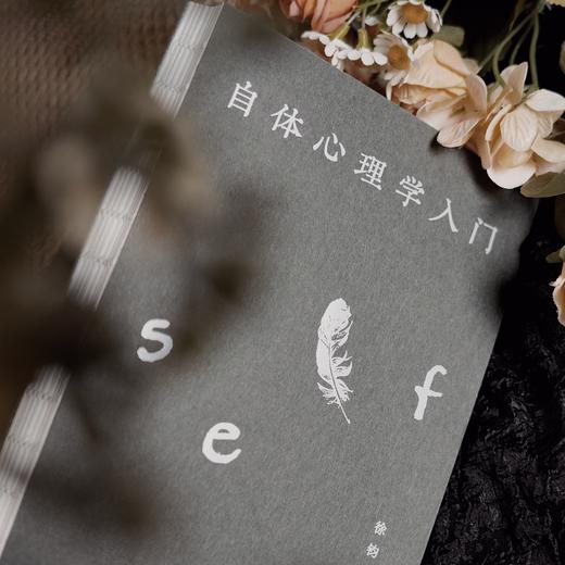 万千心理·自体心理学入门（徐钧老师力作全新修订！） 商品图12
