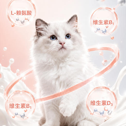 道力其猫咪羊奶粉400g 补充营养 呵护肠胃 整箱20罐 不吃包退！ 商品图3