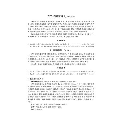 清凉峰草本植物志（第二卷）/金孝锋 程樟峰 徐跃良 主编/浙江大学出版社 商品图1