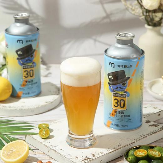 麦德龙 麦臻选x鲜啤30公里比利时小麦鲜啤 750ml 商品图4
