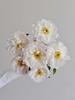 精品芍药花典雅月光5支 商品缩略图5