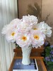 精品芍药花典雅月光5支 商品缩略图0