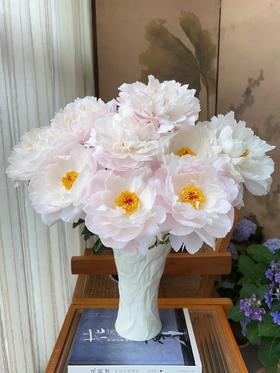 精品芍药花典雅月光5支
